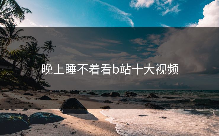 晚上睡不着看b站十大视频 晚上睡不着看b站十大视频