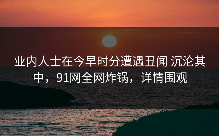业内人士在今早时分遭遇丑闻 沉沦其中，91网全网炸锅，详情围观